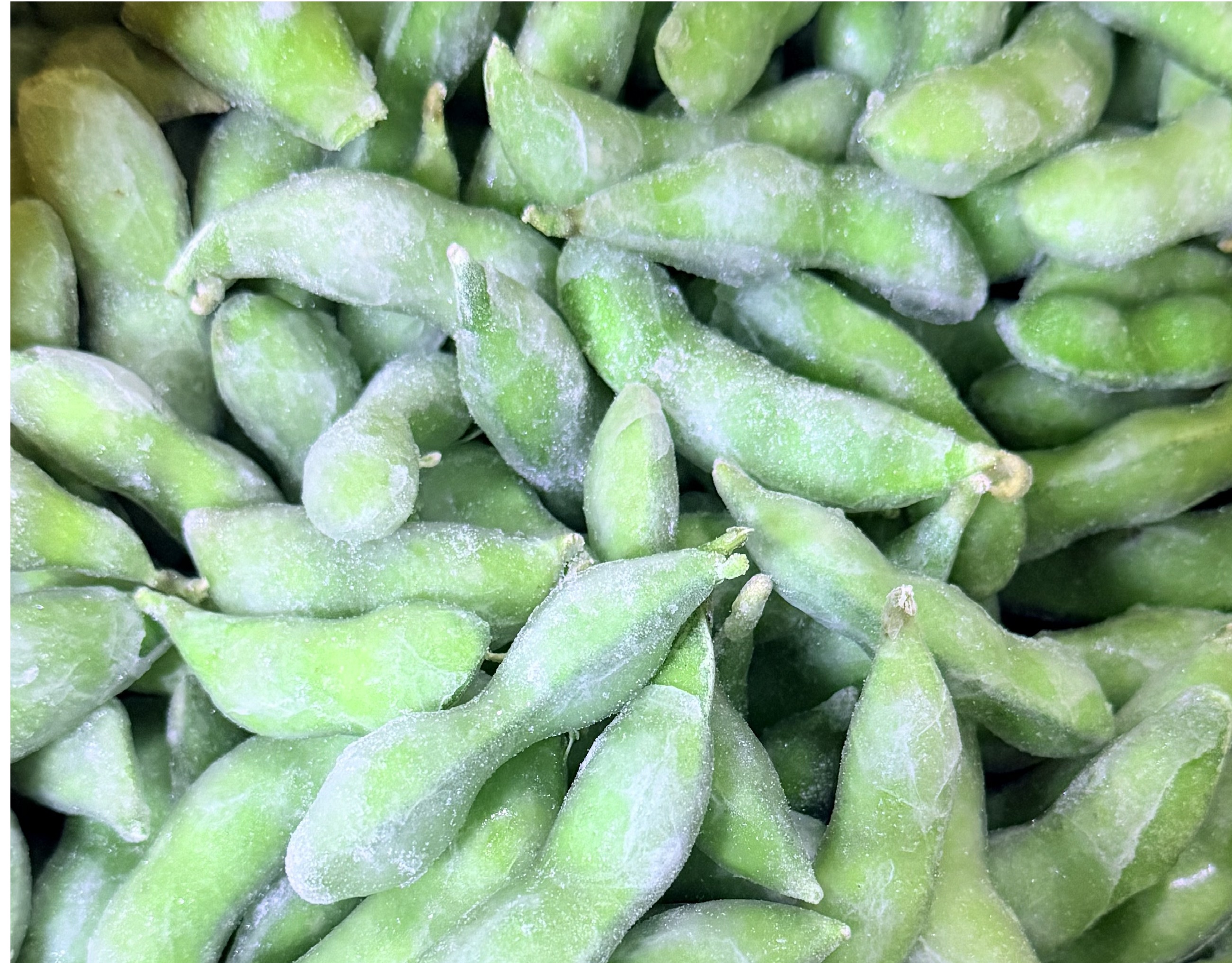 Frozen Edamame