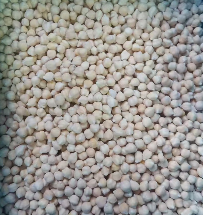 Frozen Chickpeas