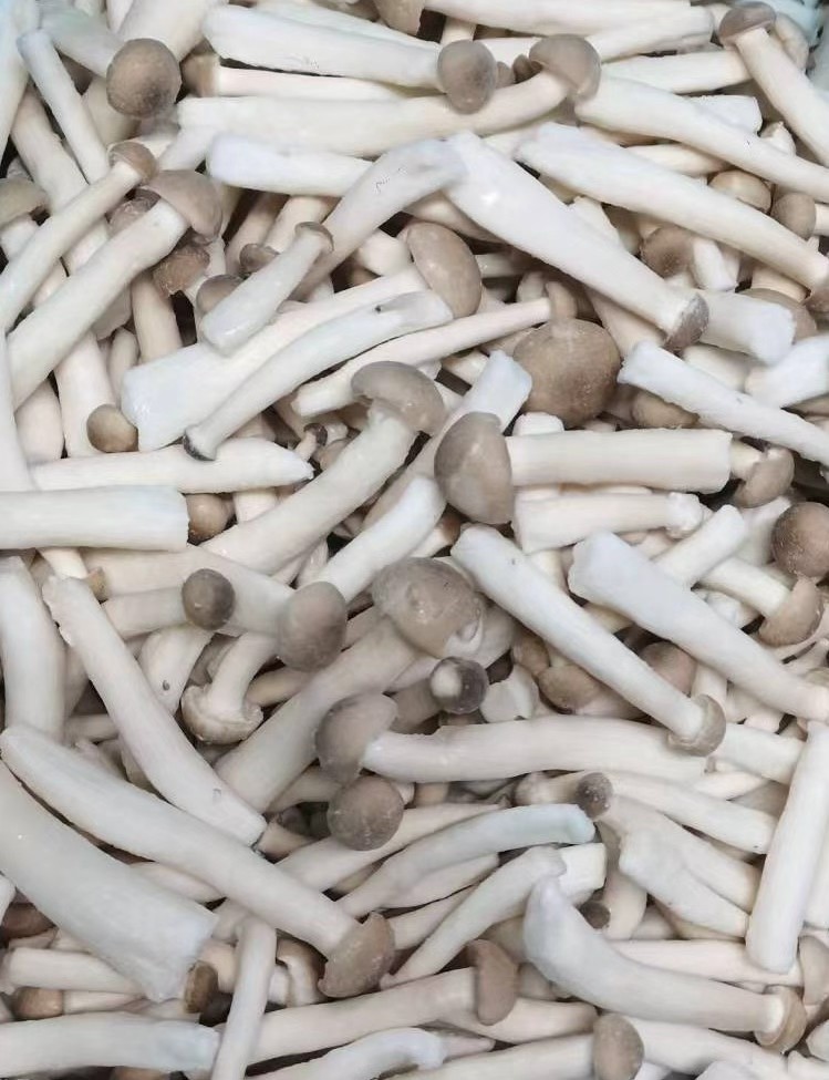 Frozen Crab Mushroom