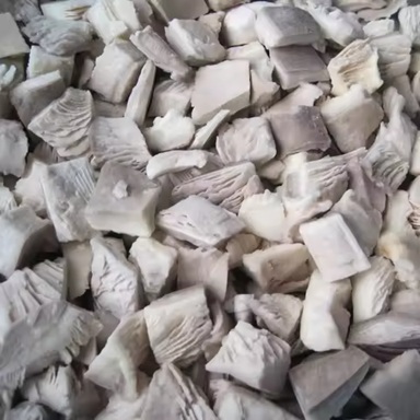 Frozen Oyster Mushroom